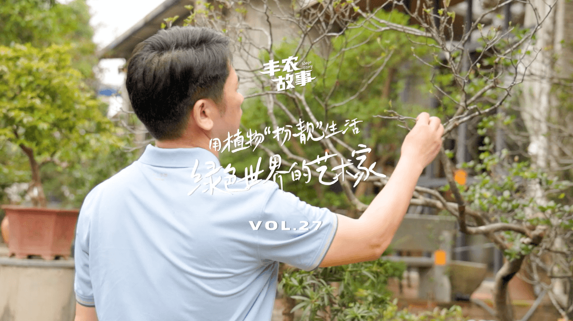 17年，他用一草一木去点亮了一个个家。