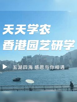 与香港园艺学会联合举办香港园艺研学，专业园境师带队讲解。